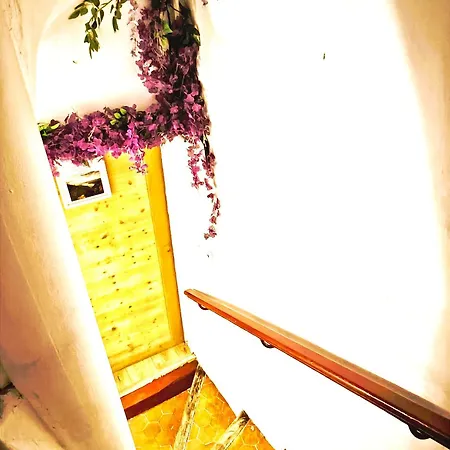 דירה Le King & Etoilees *