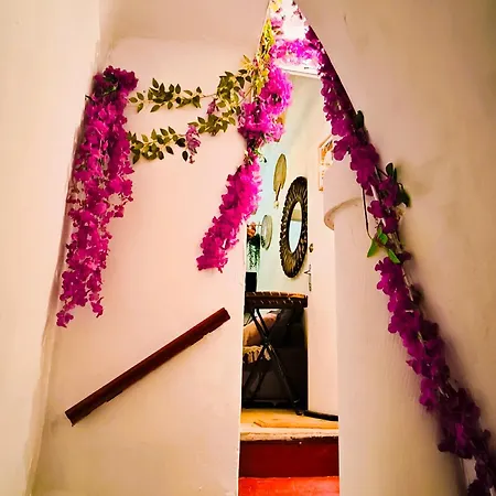 Le King & Etoilees *