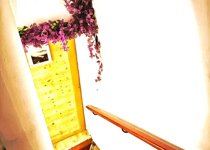 Apartment Le King & Etoilees *